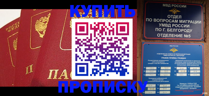 прописка для школы в Липецке